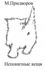 обложка книги Михаил Придворов "Непонятные вещи"