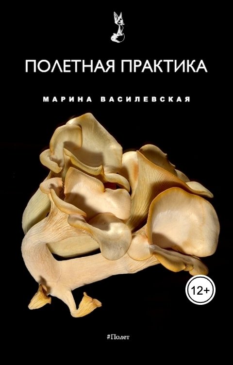 Обложка книги Марина Василевская Полетная практика