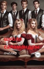 обложка книги Пчелка "Школа Саламандры"