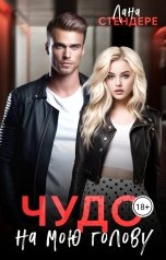 обложка книги Лана Стендере "Чудо на мою голову"