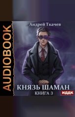 обложка книги Ткачев Андрей "Князь шаман. Книга 3"
