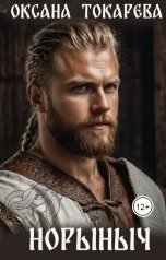 обложка книги Оксана Токарева "Норыныч"