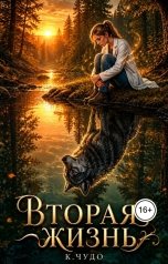 обложка книги К.Чудо "Вторая жизнь"