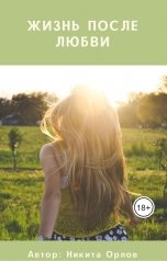 обложка книги Никита Орлов "Жизнь после любви"