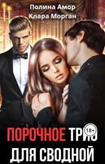 обложка книги Клара Морган "Порочное трио для сводной"