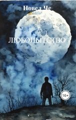 обложка книги Новел Че "Любопытство"