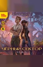 обложка книги Юлия Шолох "Черный сектор. Лука"