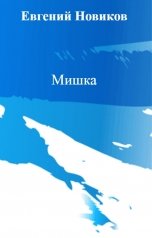 обложка книги Евгений Новиков "Мишка"