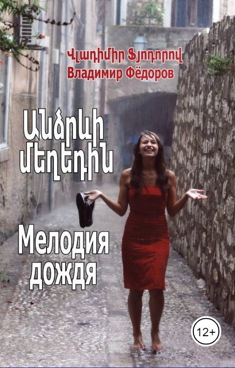 Обложка книги Владимир Федоров Мелодия дождя