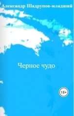 обложка книги Александр Шадрунов-младший "Черное чудо"