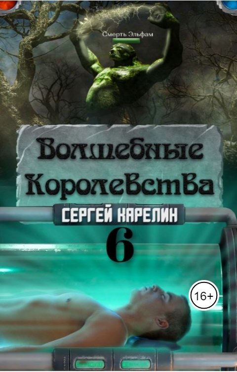 Обложка книги Сергей Карелин Волшебные королевства 6