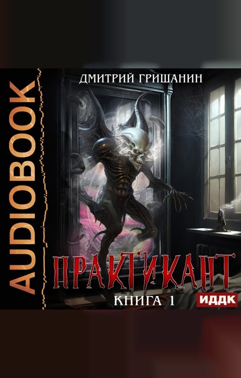 Обложка книги ИДДК Практикант. Книга 1