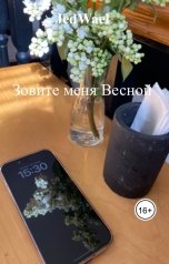 обложка книги JedWael "Зовите меня Весной"