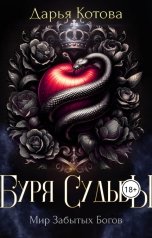 обложка книги Дарья Котова "Буря Судьбы"