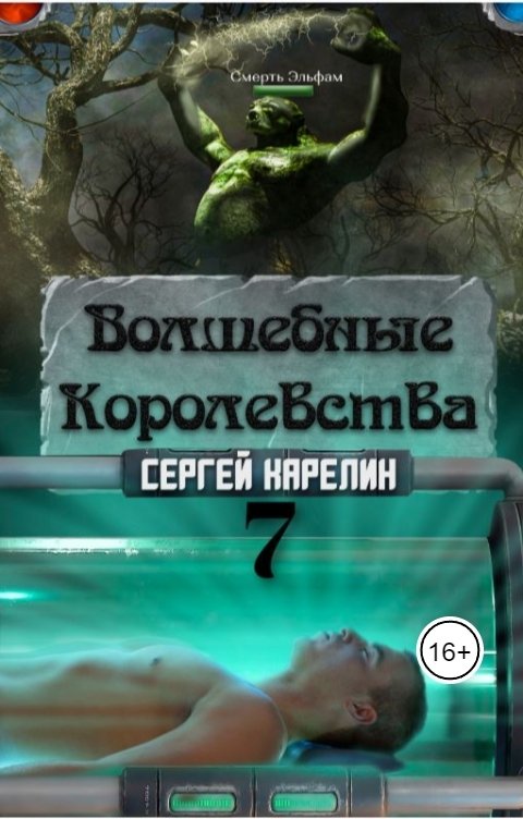 Обложка книги Сергей Карелин Волшебные королевства 7