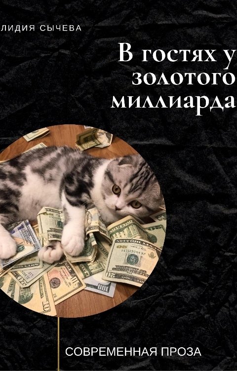 Обложка книги july60 Лидия Сычева            В гостях у золотого миллиарда