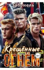 обложка книги Габриель "Крещённые огнём"