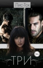 обложка книги Лис-Ток "БДСМ история: ТРИ"