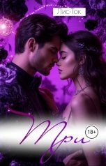 обложка книги Лис-Ток "БДСМ история: ТРИ"