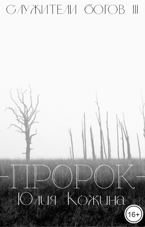 Обложка книги Юлия Кожина Пророк