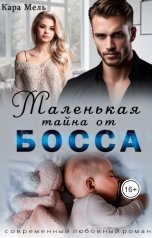 обложка книги Кара Мель "Маленькая тайна от Босса"