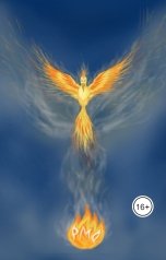 обложка книги nelli.zhironkina "Черный принц"