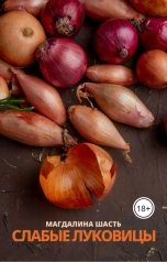 обложка книги Магдалина Шасть "Слабые луковицы"