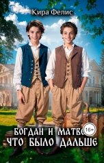 обложка книги Кира Фелис "Богдан и Матвей что было дальше"