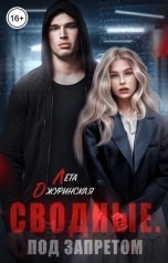 обложка книги Лета Джуринская "Сводные. Под запретом"