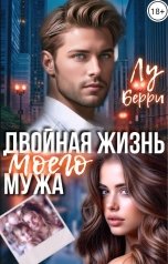 обложка книги Лу Берри "Двойная жизнь моего мужа"