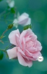 обложка книги Александр Посохов "Эта самая Любовь!"