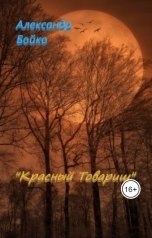обложка книги Александр Бойко ""Красный Товарищ""