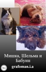 обложка книги grafoman.i.a "Мишка, Шельма и Бабуин"