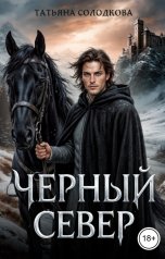 обложка книги Татьяна Солодкова "Черный север"