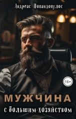 обложка книги Андреас Попандопулос "Мужчина с большим хозяйством"