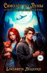 обложка книги Елизавета Лещенко "Самолёт до Луны и почти нормальная жизнь"