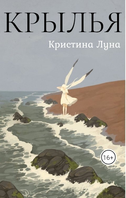 Обложка книги not anymore Крылья