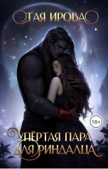 обложка книги Тая Ирова "Упёртая пара для риндалца"